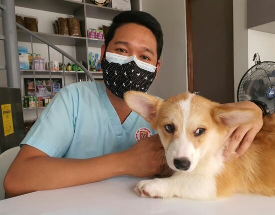 a man wearing a face mask sitting next to a dog