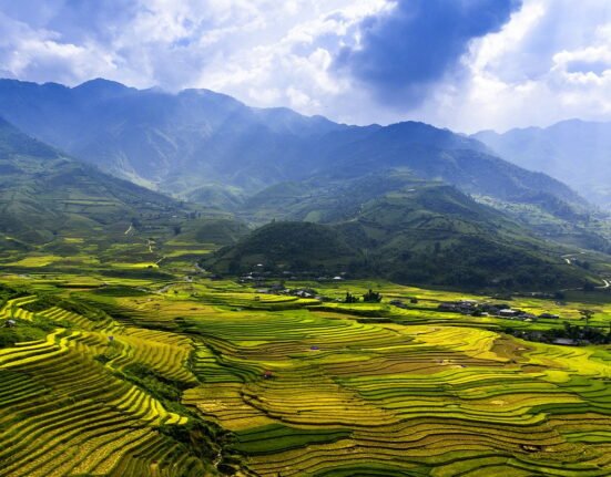terraces, golden rice field, mu cang chai district