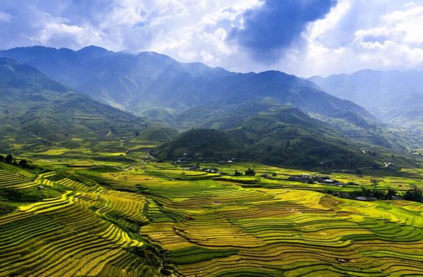 terraces, golden rice field, mu cang chai district