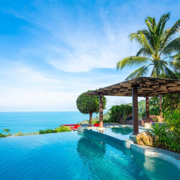the jungle club | best viewpoint, restaurant and resort in koh samui