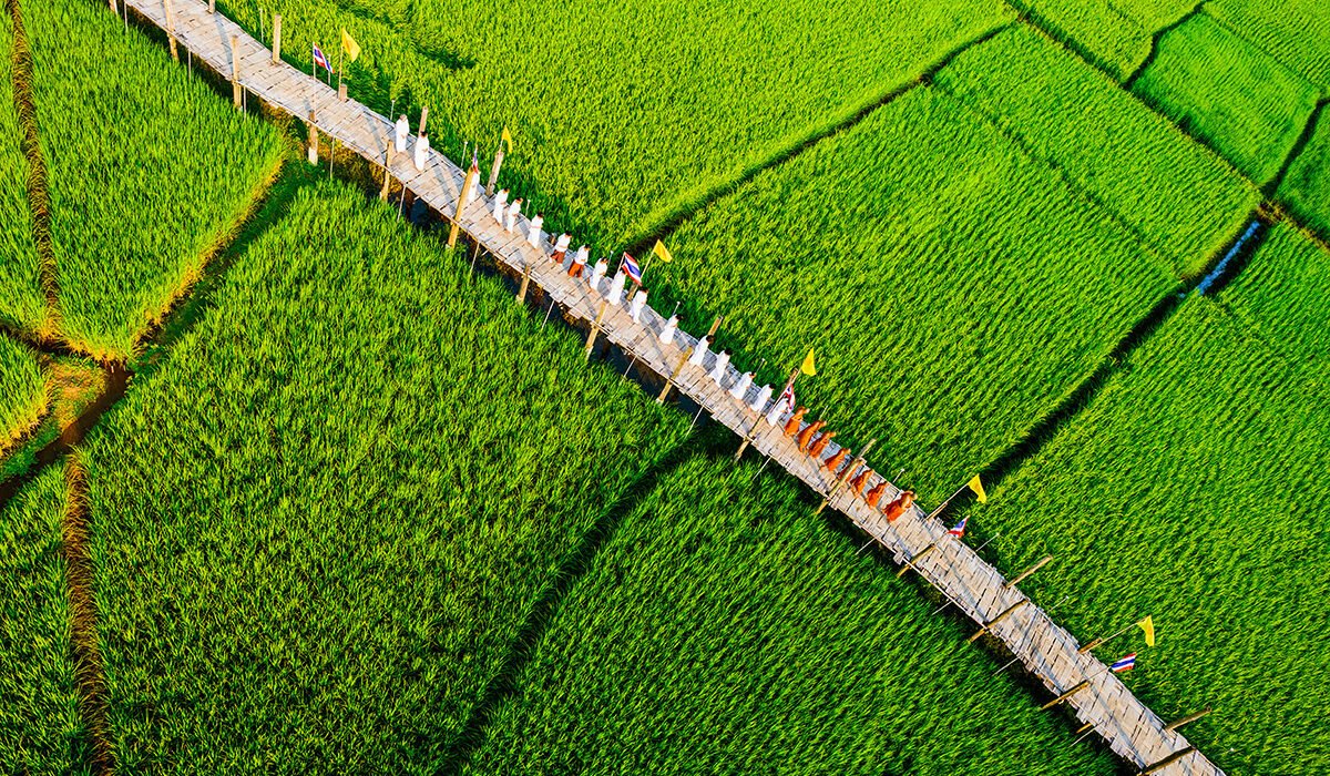 su tong pae bridge |