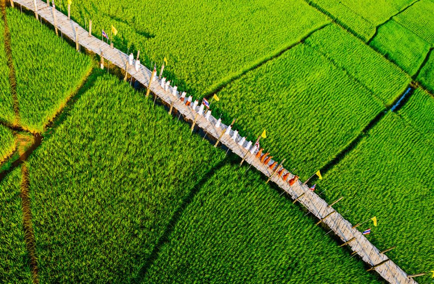 su tong pae bridge |