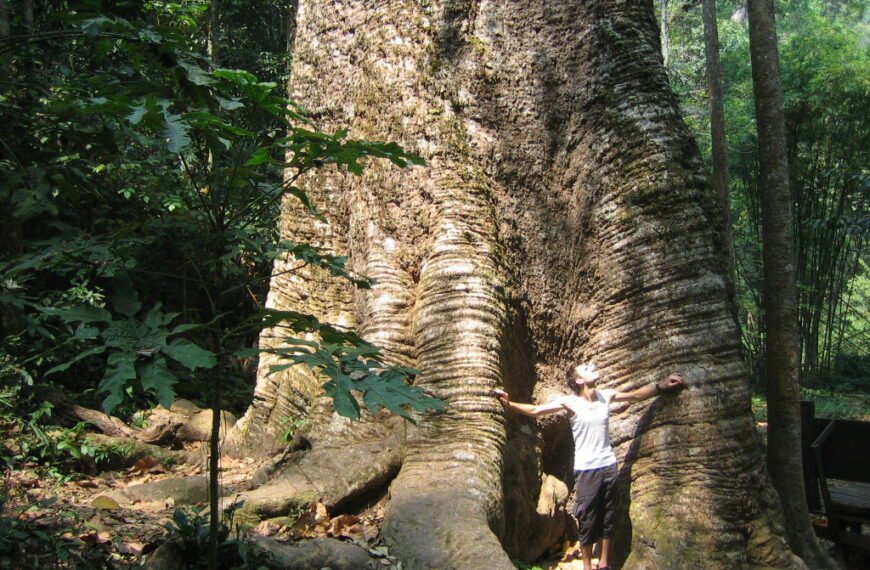 Taksin Maharat Nationalpark in Thailand: Eine Reise durch Geschichte und Natur