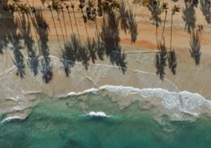 an aerial view of a beach with palm trees