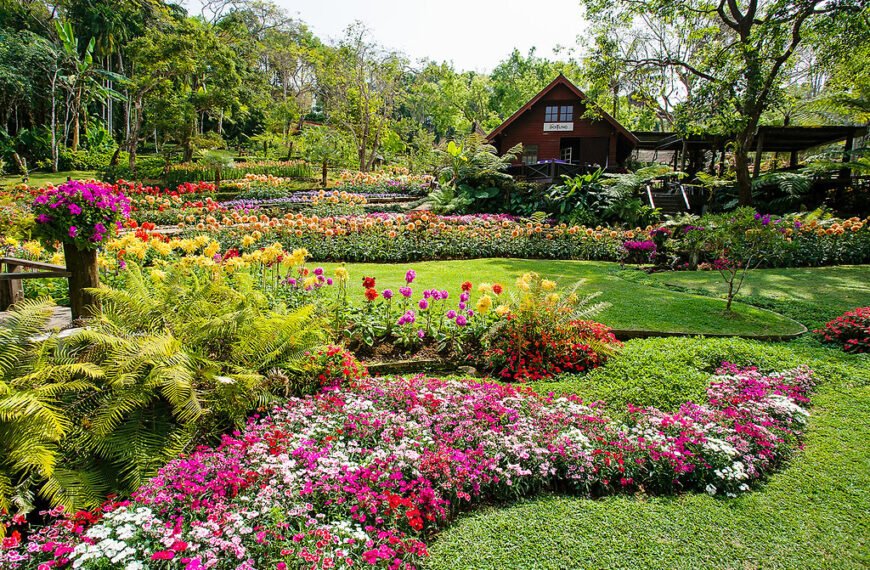 Verzaubernde Lichtausstellung erhellt den Mae Fah Luang Park