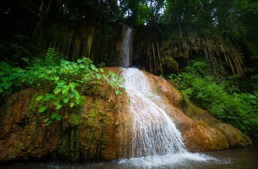 Entdecke die bezaubernden Wunder des Phu Sang Nationalparks