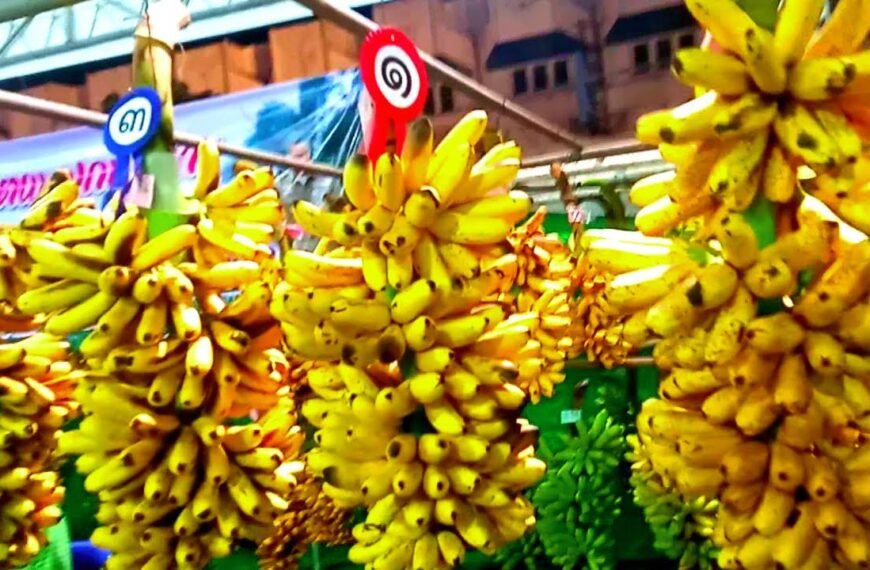 banana festival: kamphaengphet / thailand youtube