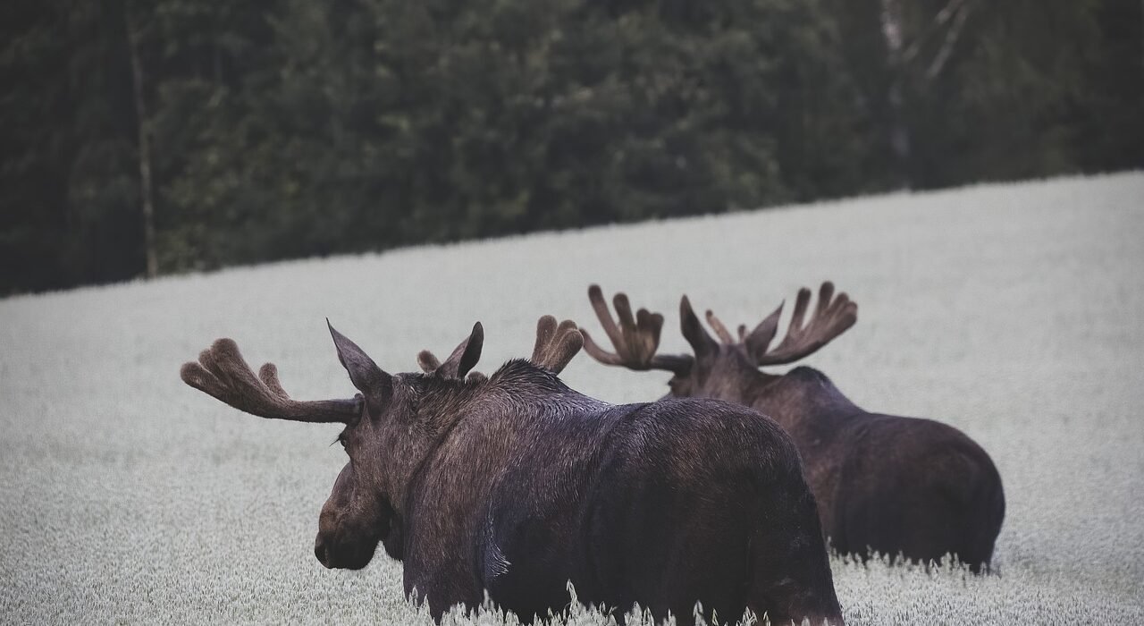 norwegen