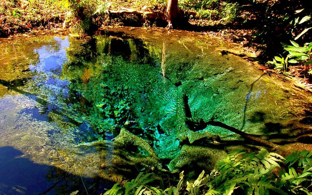 si lanna national park easy day thailand tours