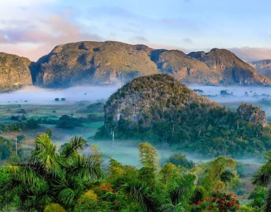 aerial photography of mountains and near trees during daytime