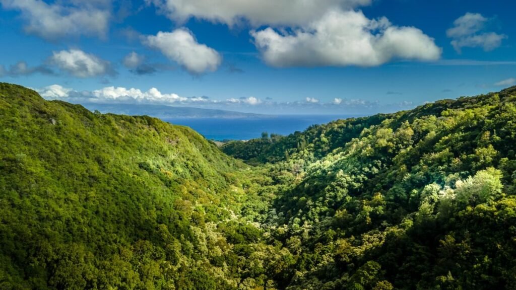 green mountains under blue sky and white clouds during daytime