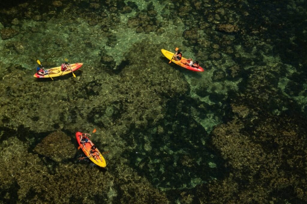 A group of people in kayaks on a body of water