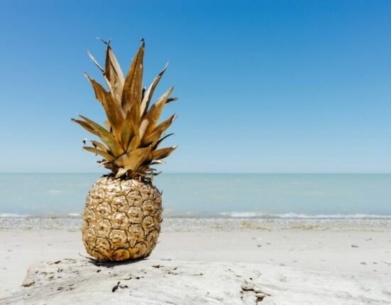 brown pineapple fruit on seashore