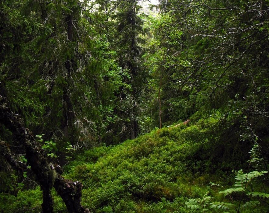 Alles was Sie über awa7 Login wissen müssen