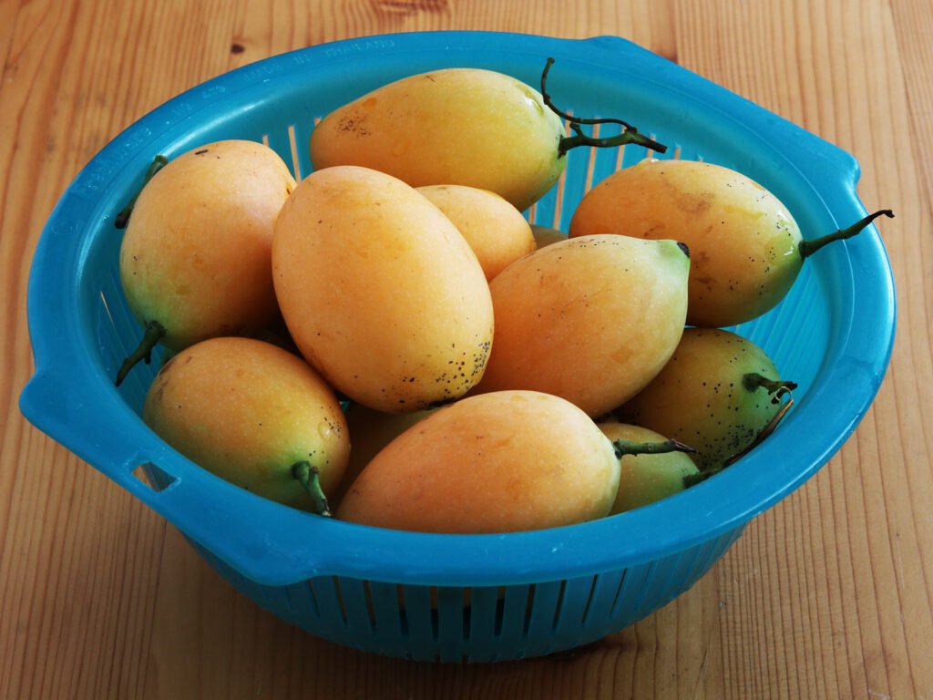 mayong chit s