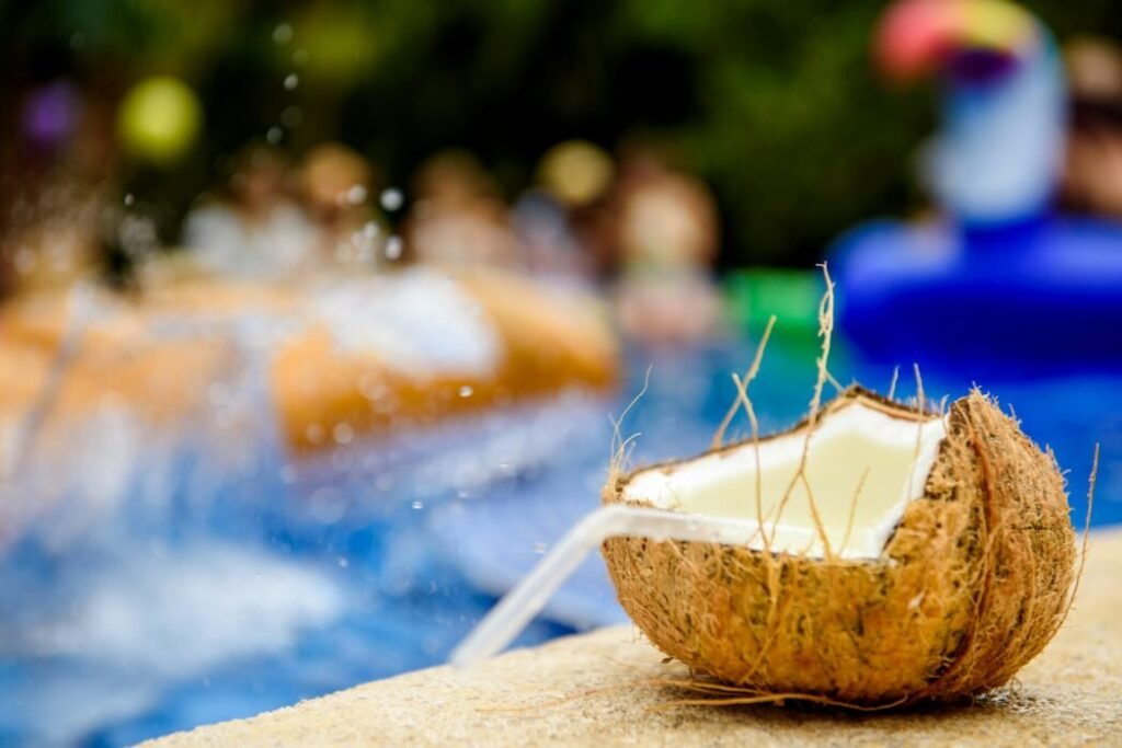 brown coconut shell on white sand