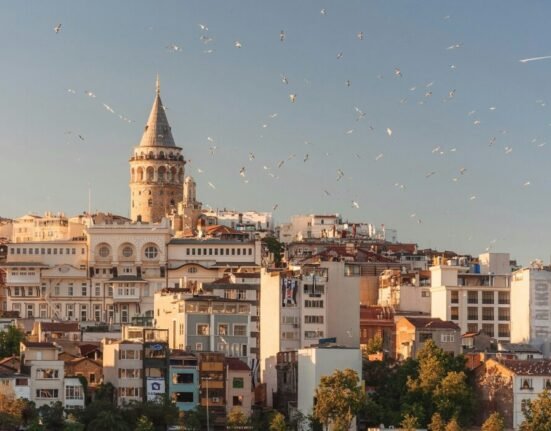 aerial view of buildings and flying birds