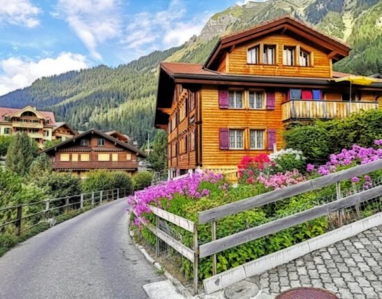 brown wooden house near purple flower field during daytime